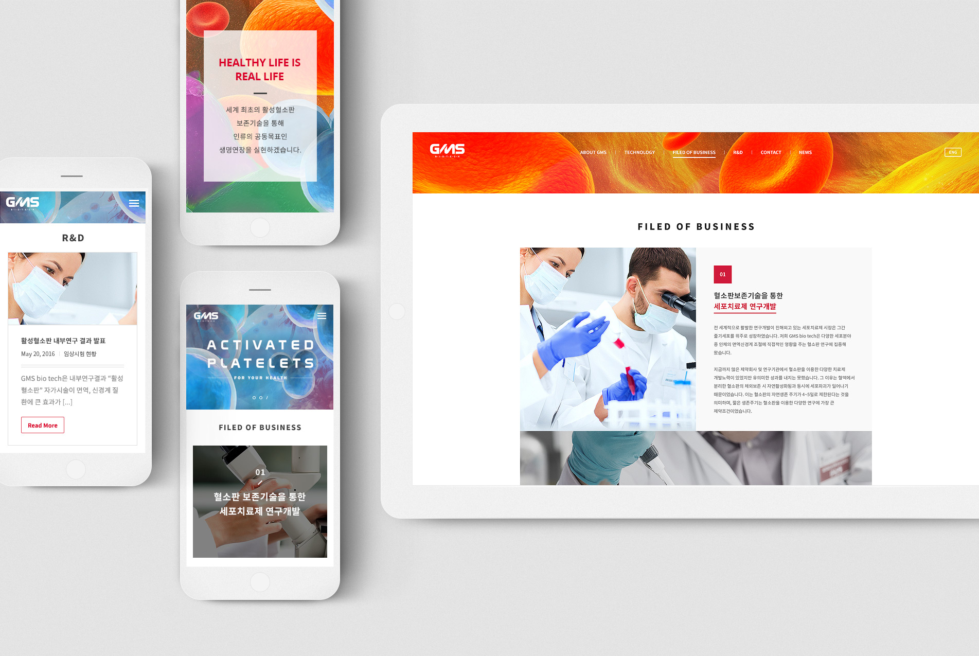 지엠에스 디스플레이